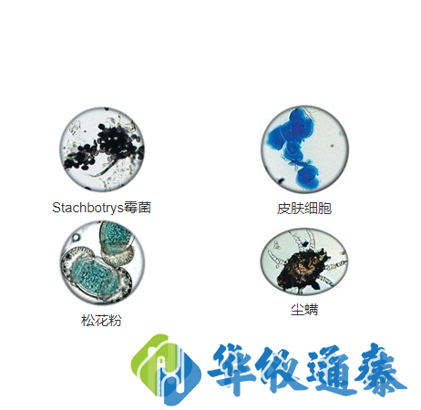 AIR-O-CELL空气取样盒收集颗粒物的实例.png